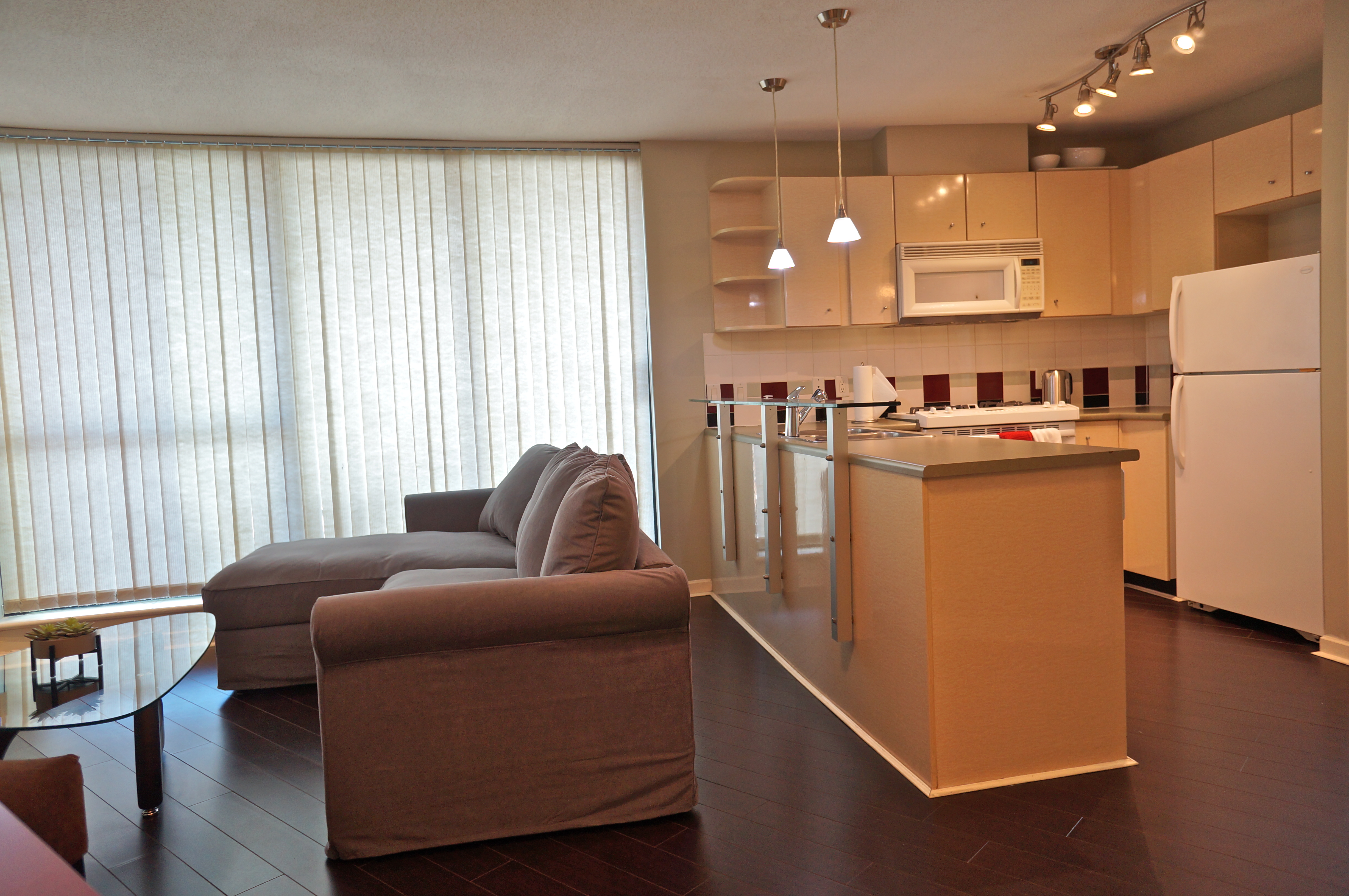 501 Pacific St Downtown Vancouver 4