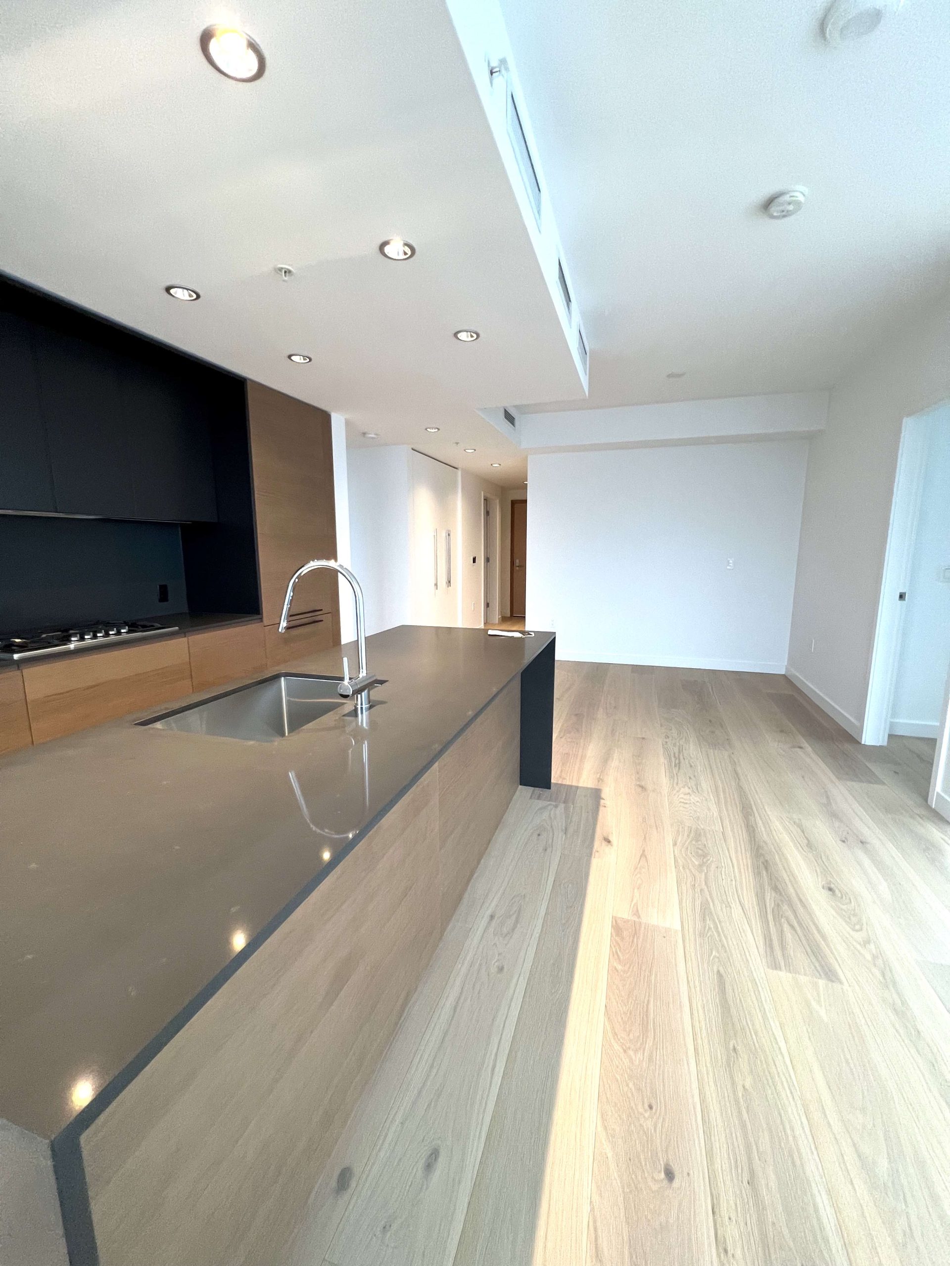 1289 Hornby st Vancouver 12