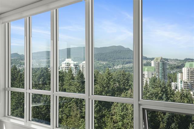 3093 Windsor gate coqtuilam 12