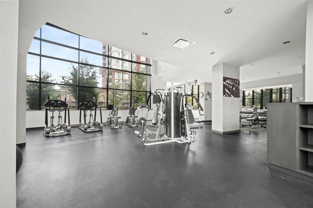 3093 Windsor gate coqtuilam 4